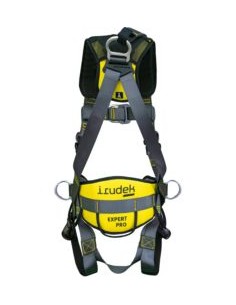 ARNES EXPERT PRO 100 DORS./FRONT/CINT. EN361-EN358 2