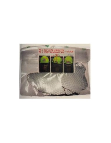 KIT DE 6 ADHESIVOS GRIS REFLEX. CLASE 2 REF.6STI000NSI