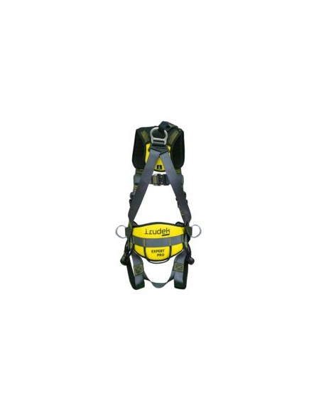 ARNES EXPERT PRO 200 DORS./FRONT/CINT. EN361-EN358