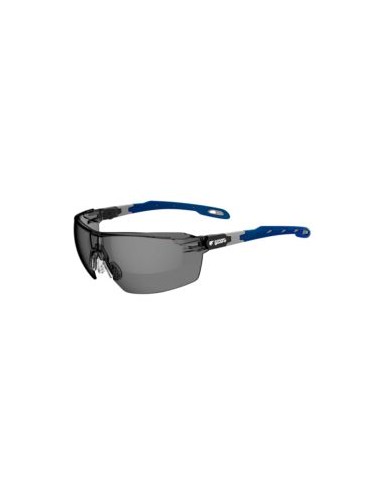 GAFA SOL PANTHER 6PANS ANTI-RAYADURA EN166