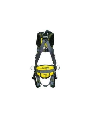 ARNES EXPERT PRO 200 DORS./FRONT/CINT. EN361-EN358