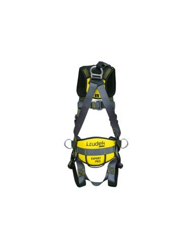 ARNES EXPERT PRO 100 DORS./FRONT/CINT. EN361-EN358