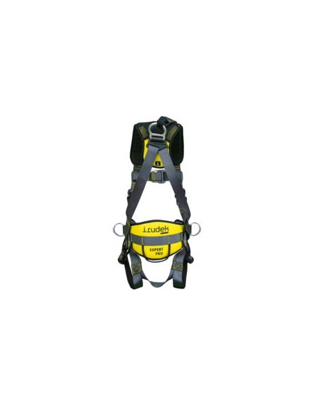 ARNES EXPERT PRO 100 DORS./FRONT/CINT. EN361-EN358